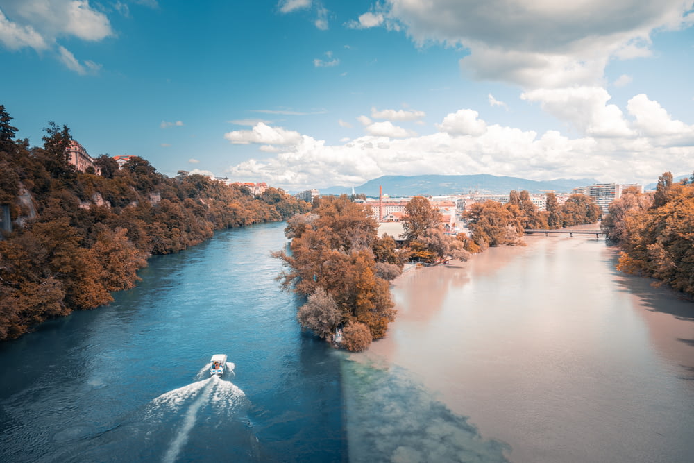 body of water between trees under blue sky d.jpg