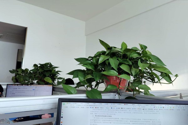 济南市生态环境局市中分局多措并举落实环境监测管理办法！