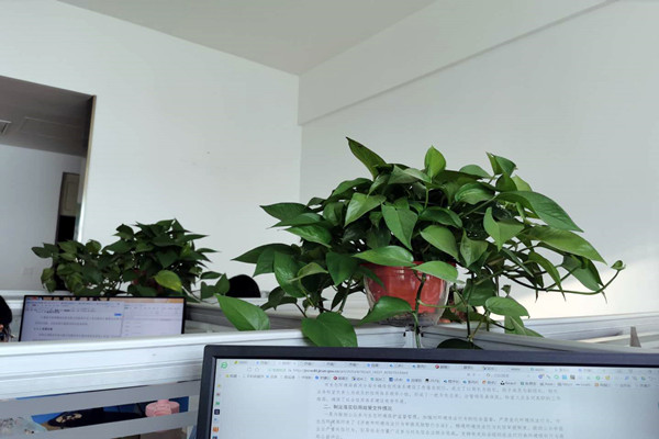 济南市生态环境局市中分局多措并举落实环境监测管理办法！